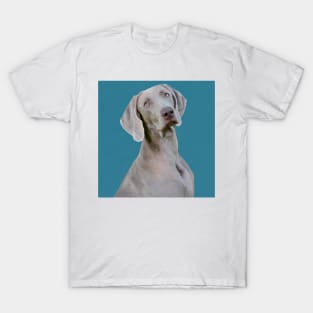 Turquoise Weimaraner T-Shirt